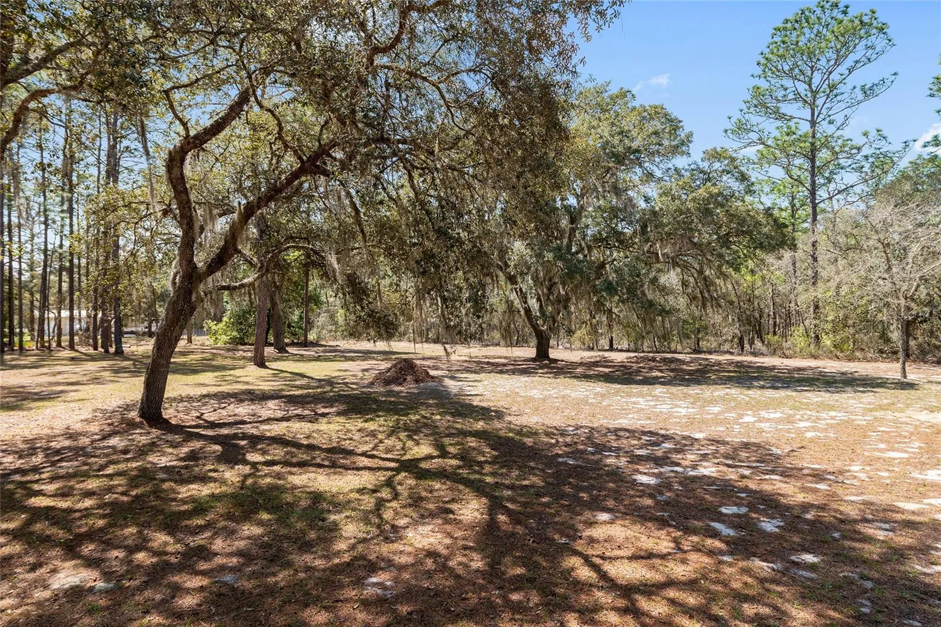 4060 SW 166th Court Ocala FL 34481