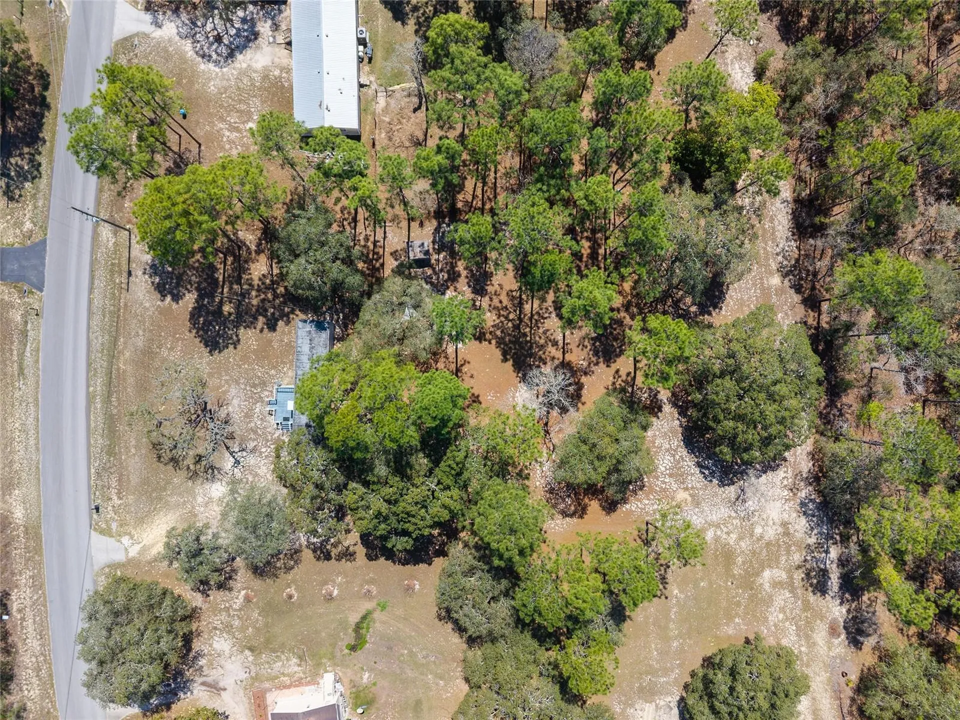 4060 SW 166th Court Ocala FL 34481