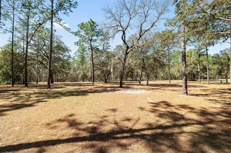 4060 SW 166th Court Ocala FL 34481
