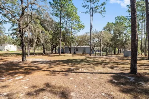 4060 SW 166th Court Ocala FL 34481