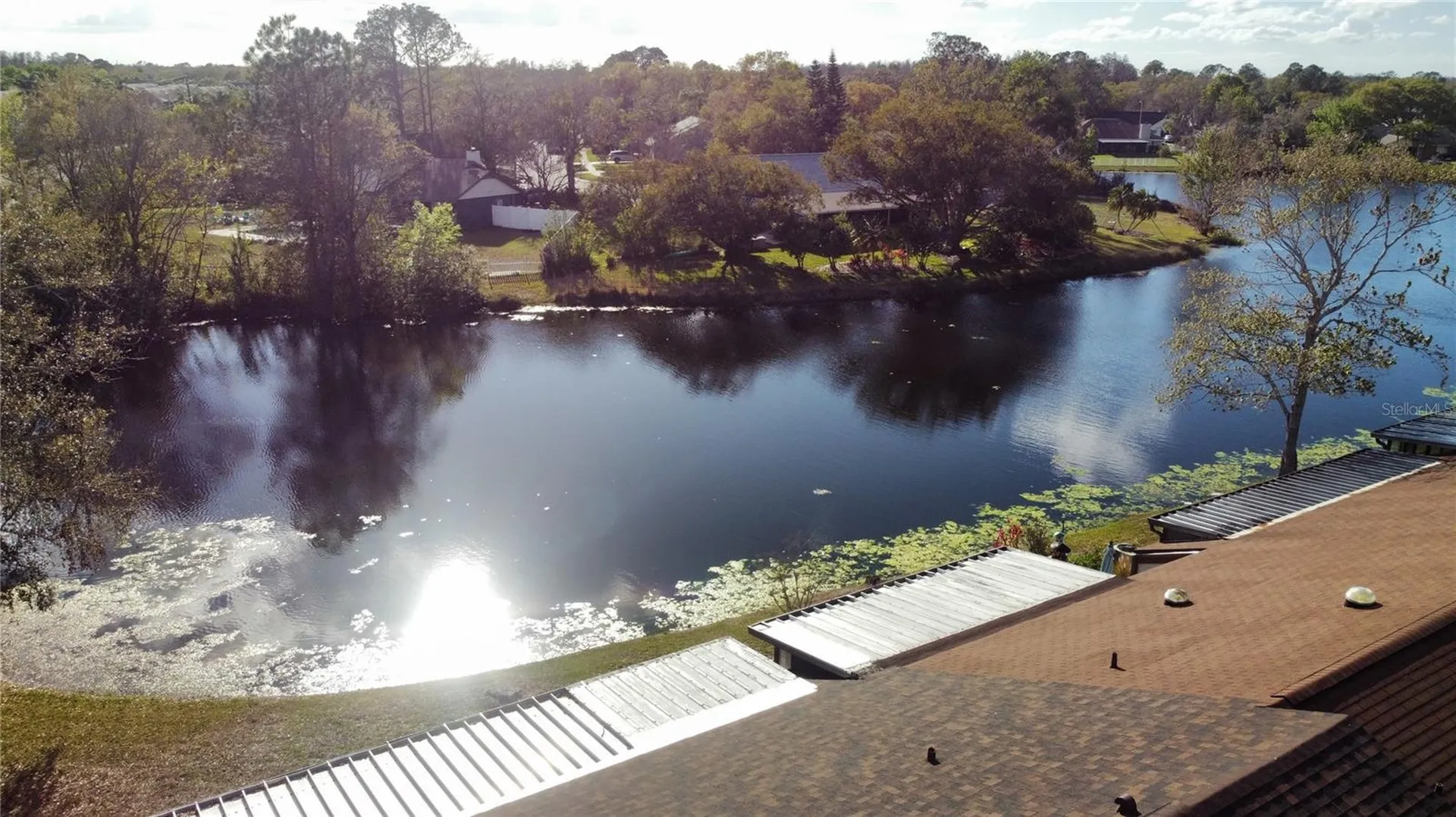 4075 Shoreside Circle Tampa FL 33624