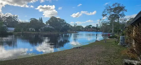 4075 Shoreside Circle Tampa FL 33624
