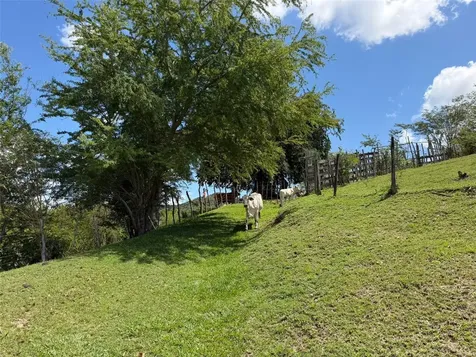 150 Santa Catalina Coamo PR 00769