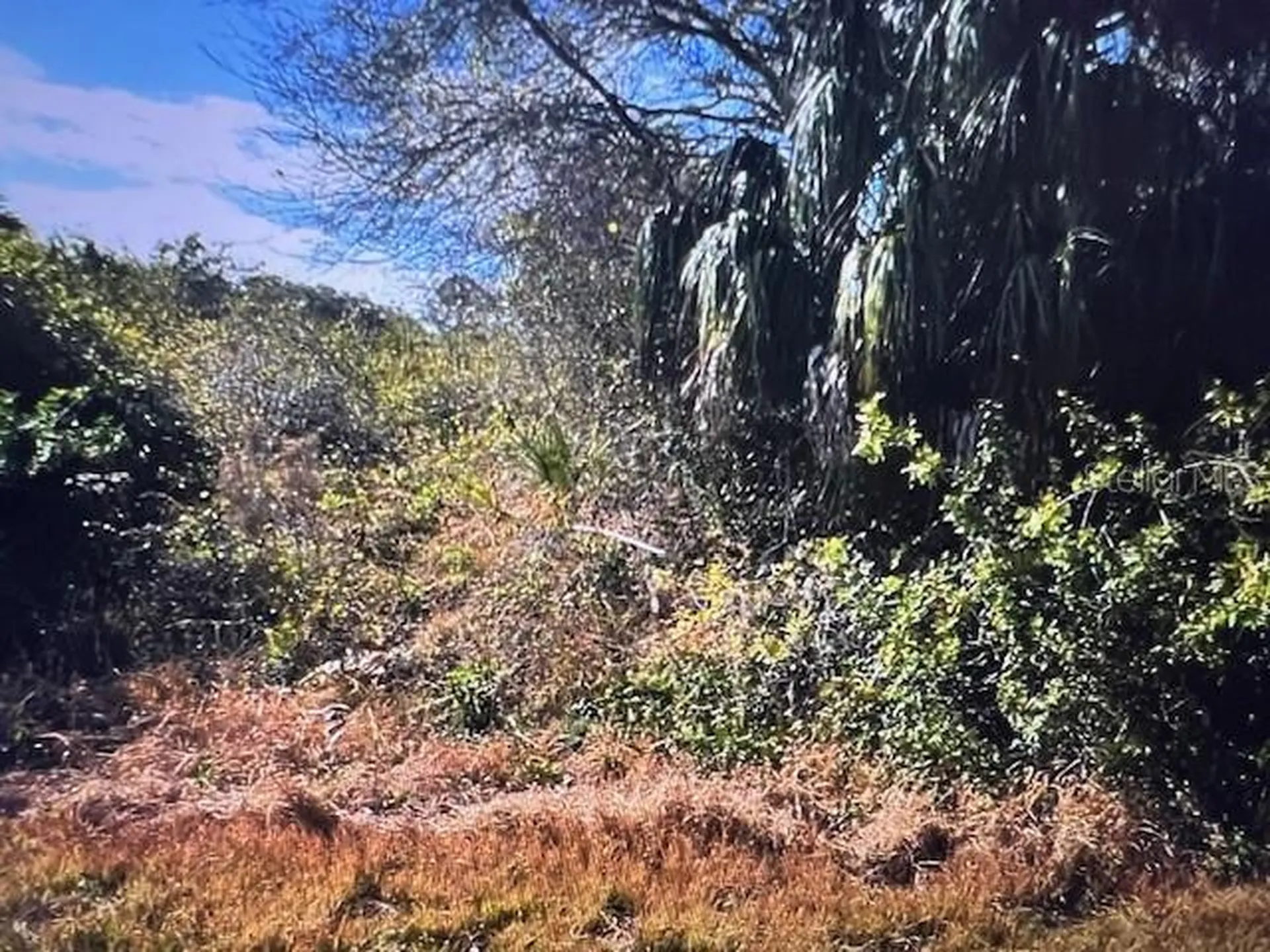 Lot 67 Harcourt Circle North Port FL 34288