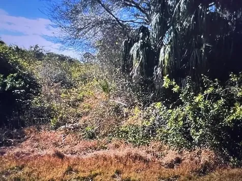 Lot 67 Harcourt Circle North Port FL 34288