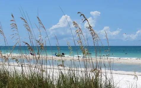 5803 De Palmas Avenue Holmes Beach FL 34217
