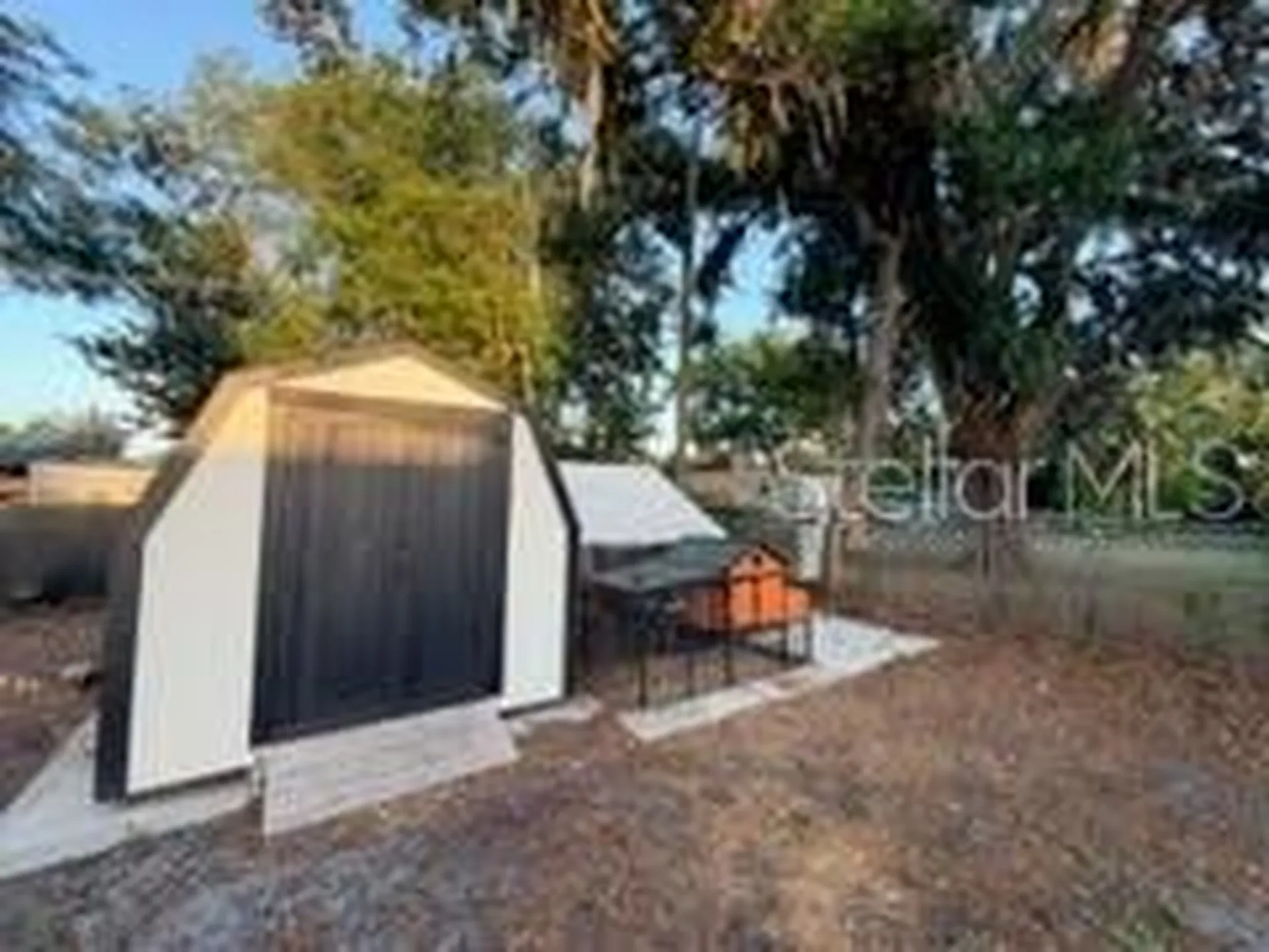 8711 N Wick Place Tampa FL 33604