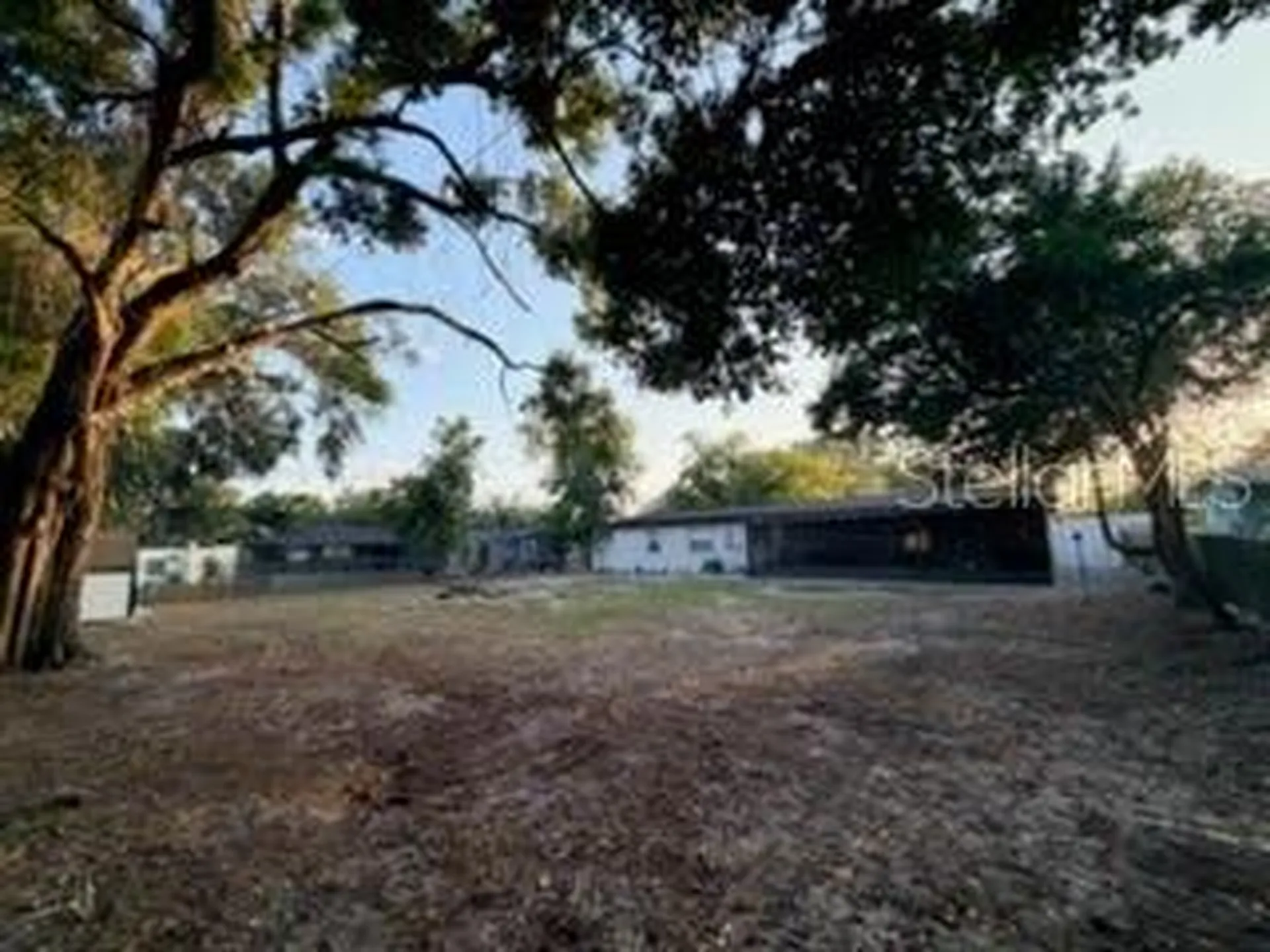 8711 N Wick Place Tampa FL 33604