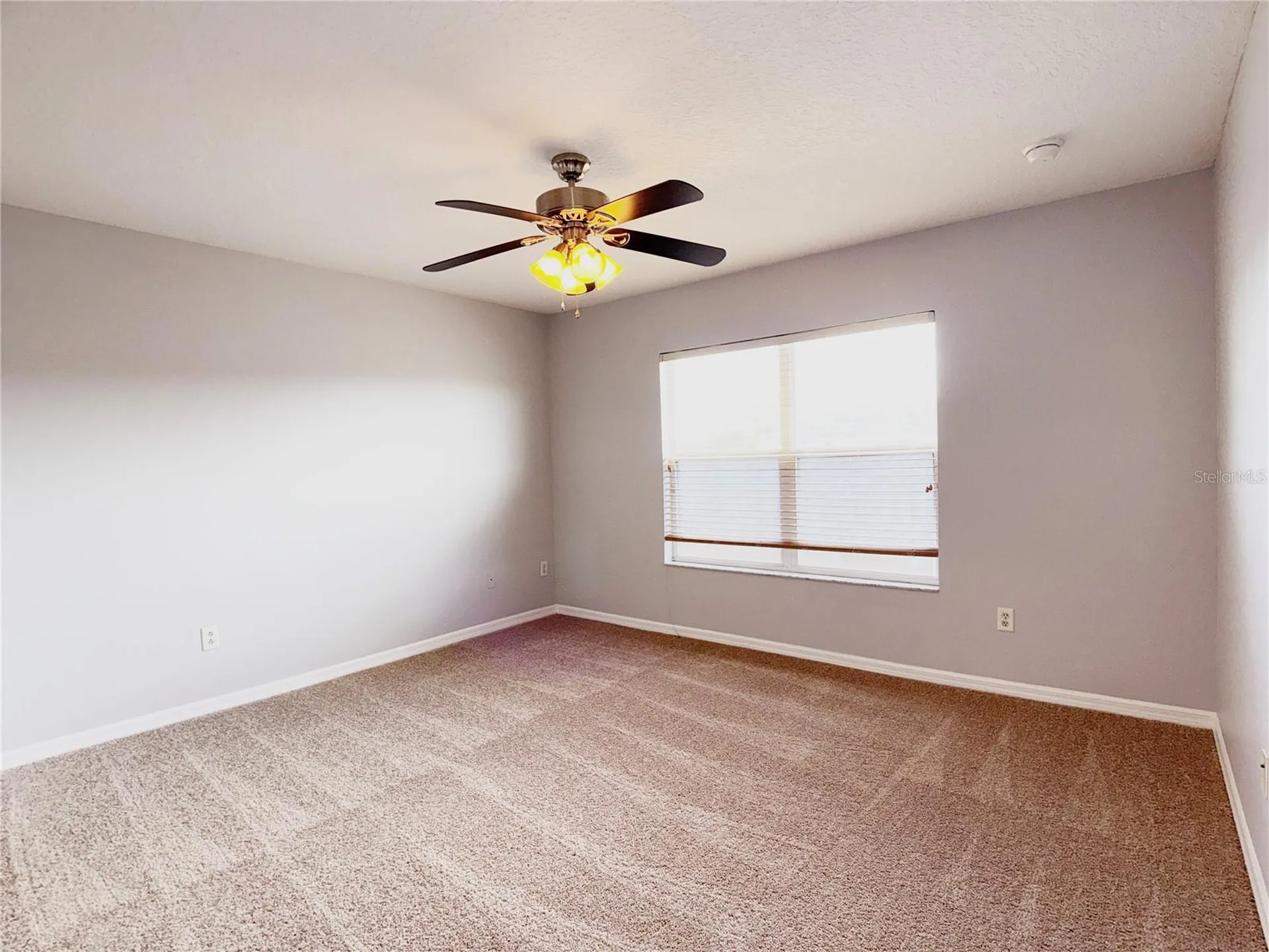 6919 Pasturelands Place Winter Garden FL 34787