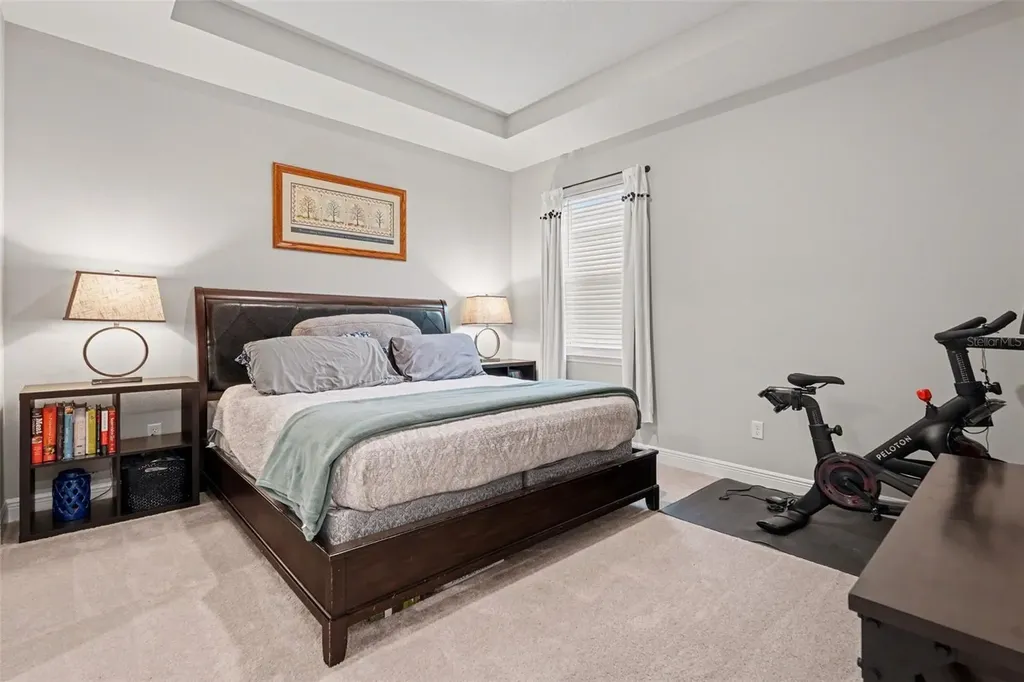 23122 Scaglione Drive Lutz FL 33549