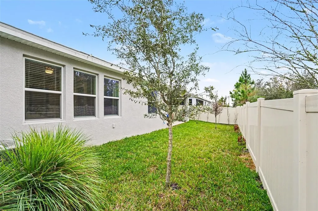 23122 Scaglione Drive Lutz FL 33549