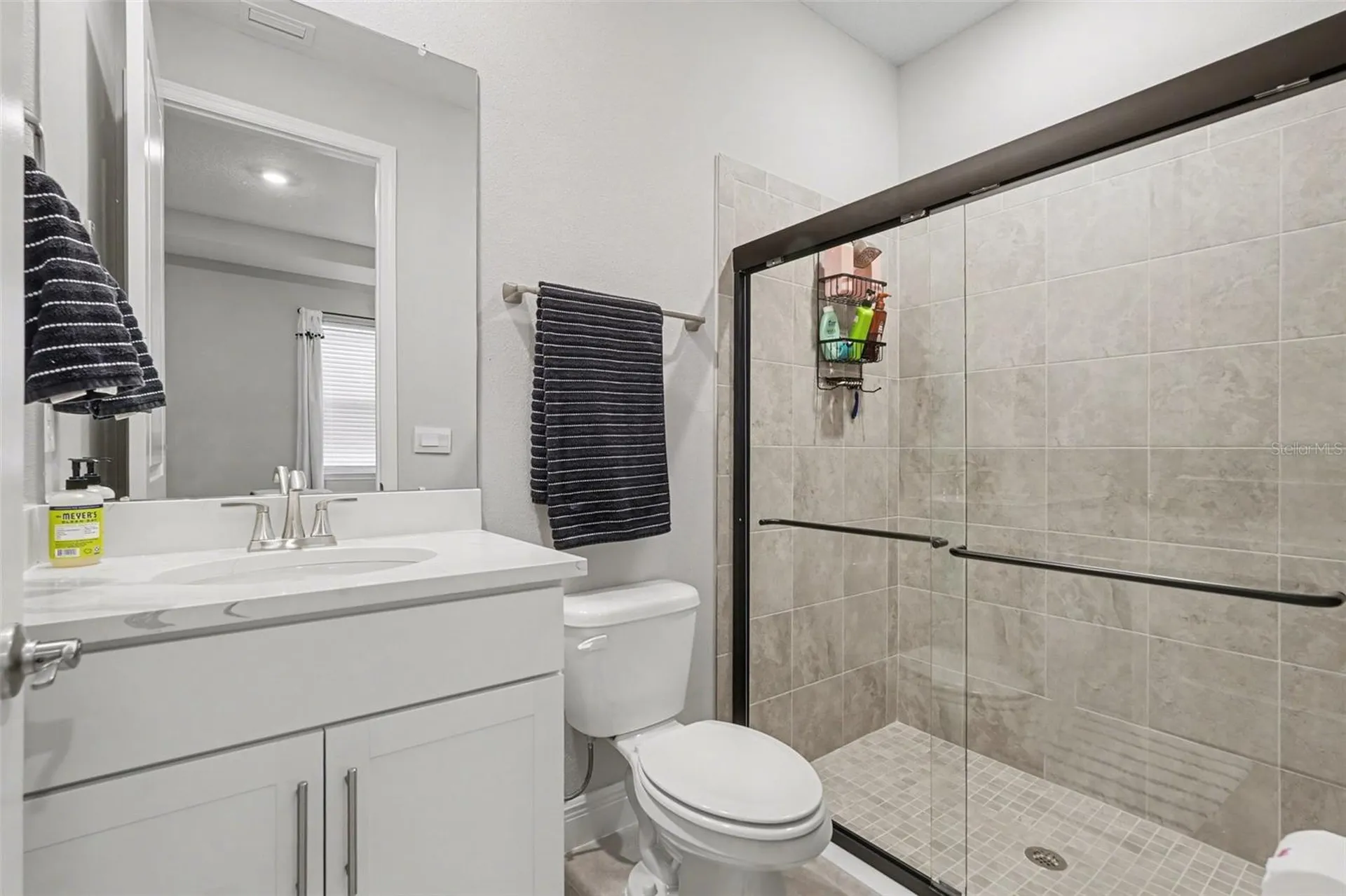 23122 Scaglione Drive Lutz FL 33549