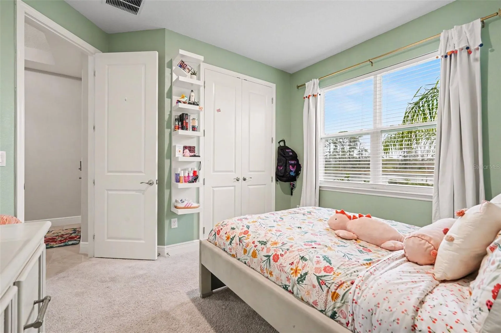 23122 Scaglione Drive Lutz FL 33549