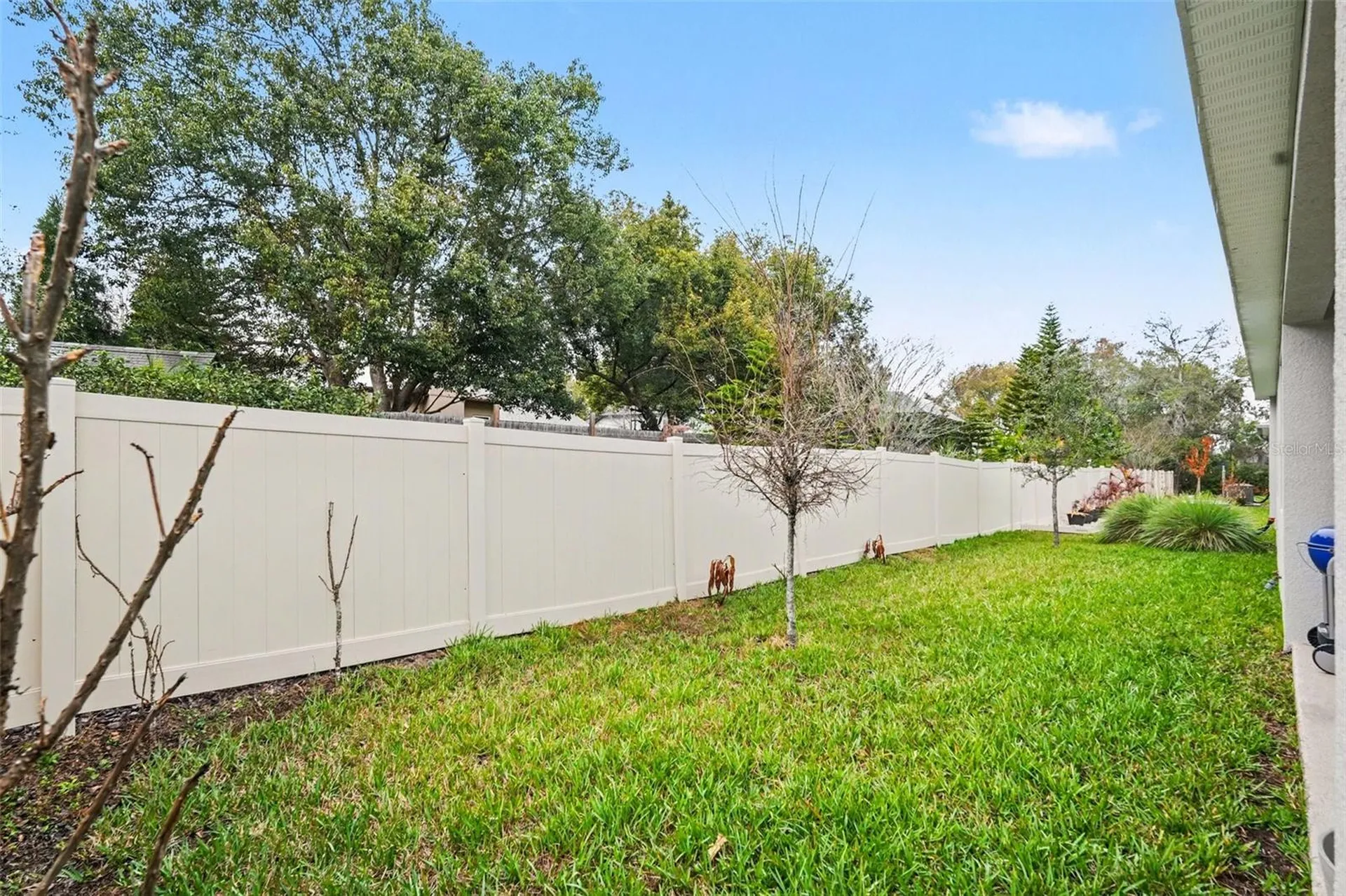 23122 Scaglione Drive Lutz FL 33549