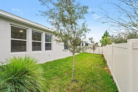 23122 Scaglione Drive Lutz FL 33549