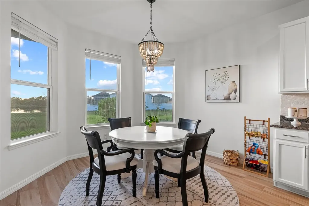 33975 Astoria Circle Wesley Chapel FL 33545