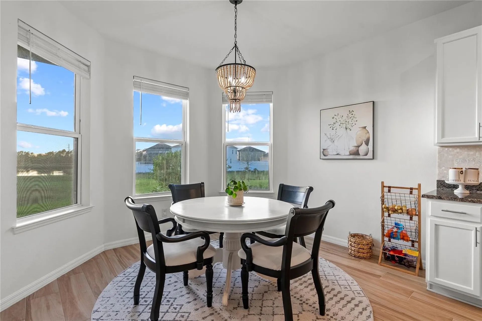 33975 Astoria Circle Wesley Chapel FL 33545