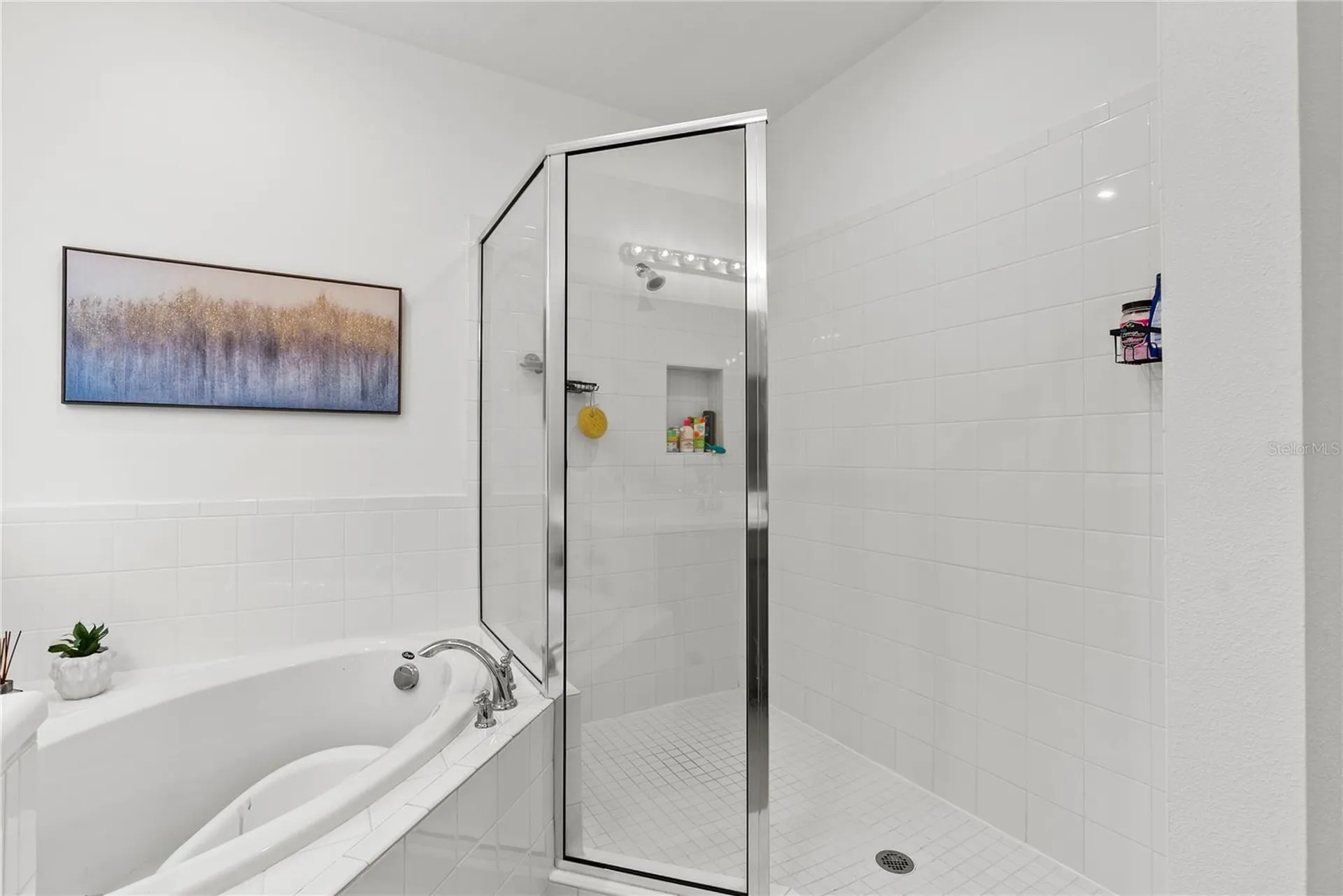 33975 Astoria Circle Wesley Chapel FL 33545