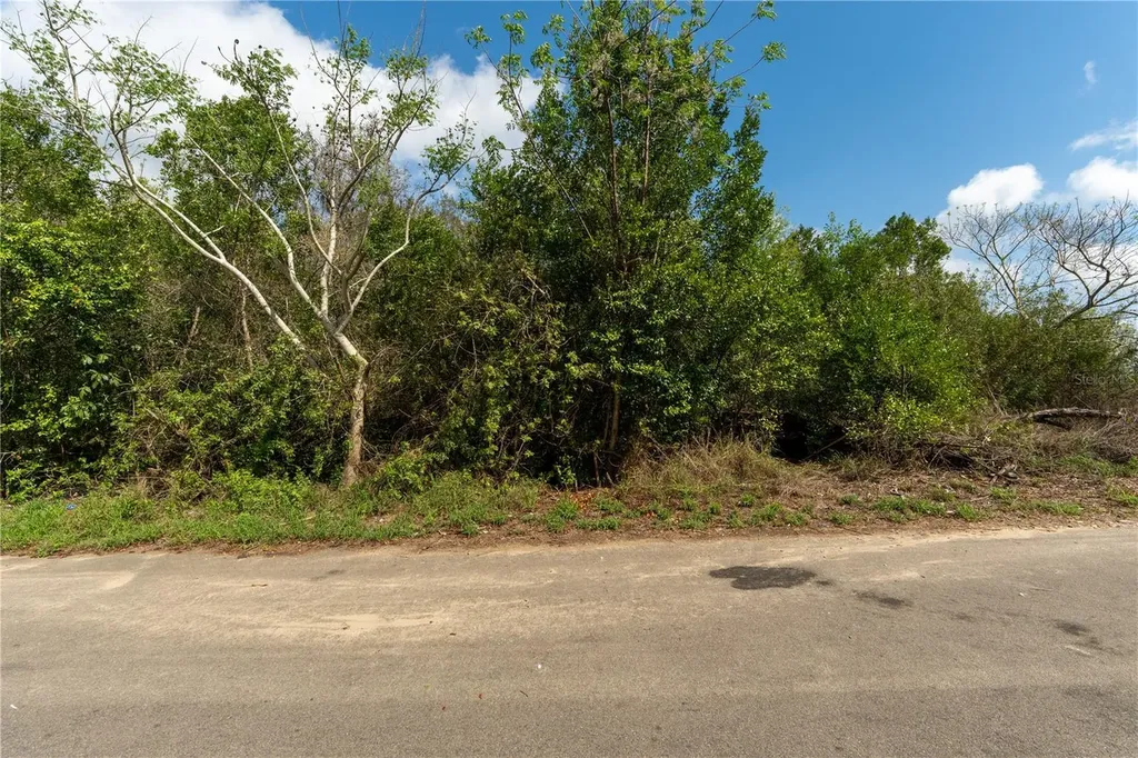 0 Tom Sheffield Road Frostproof FL 33843