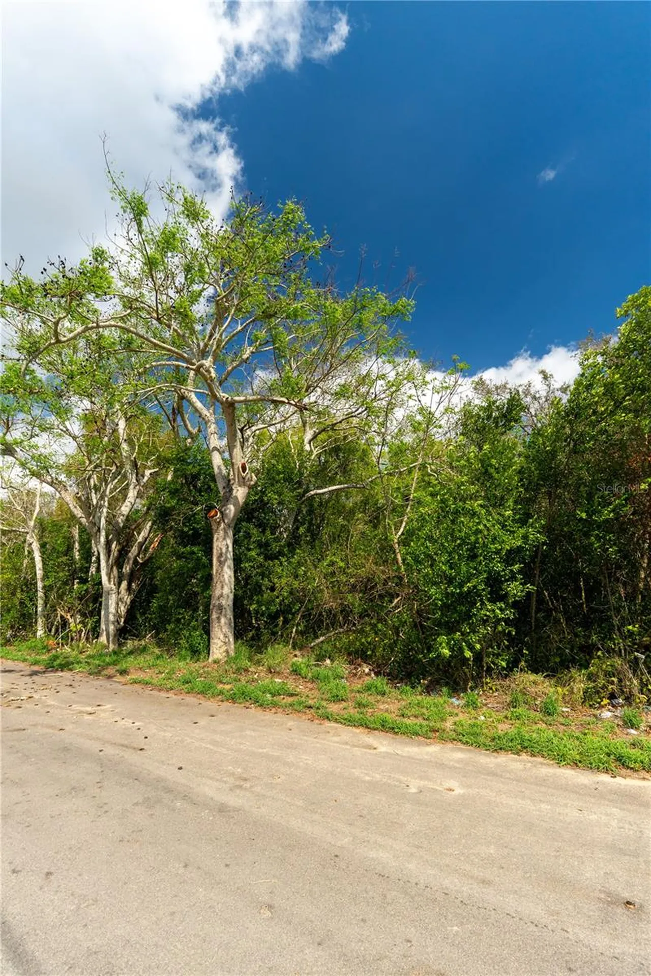0 Tom Sheffield Road Frostproof FL 33843