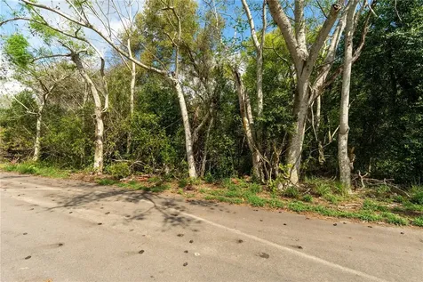 0 Tom Sheffield Road Frostproof FL 33843
