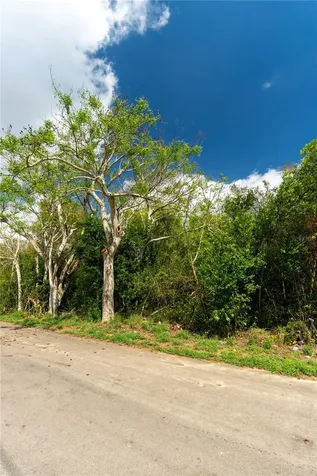 0 Tom Sheffield Road Frostproof FL 33843