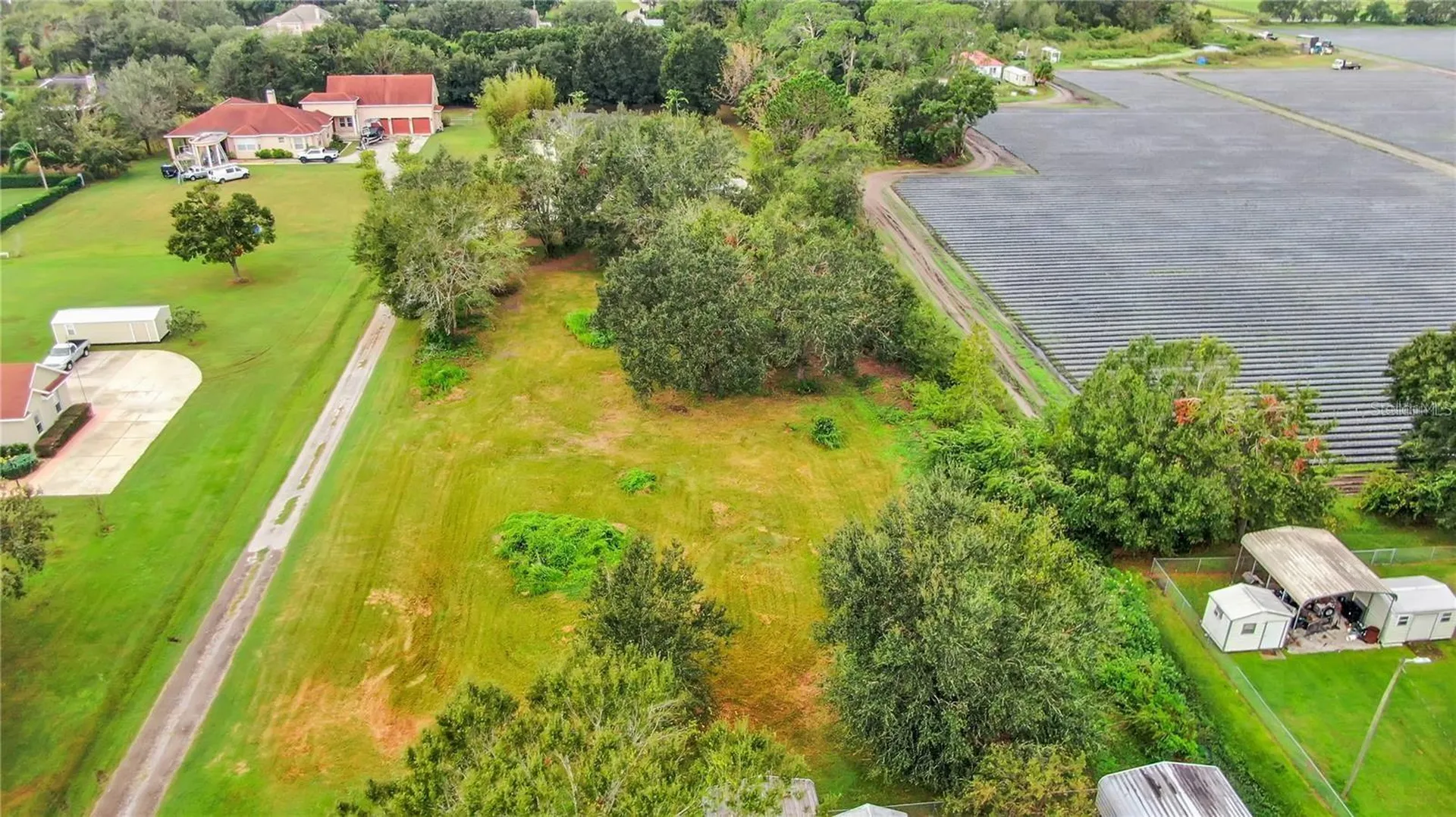 13906 Sweet Blossom Court Dover FL 33527