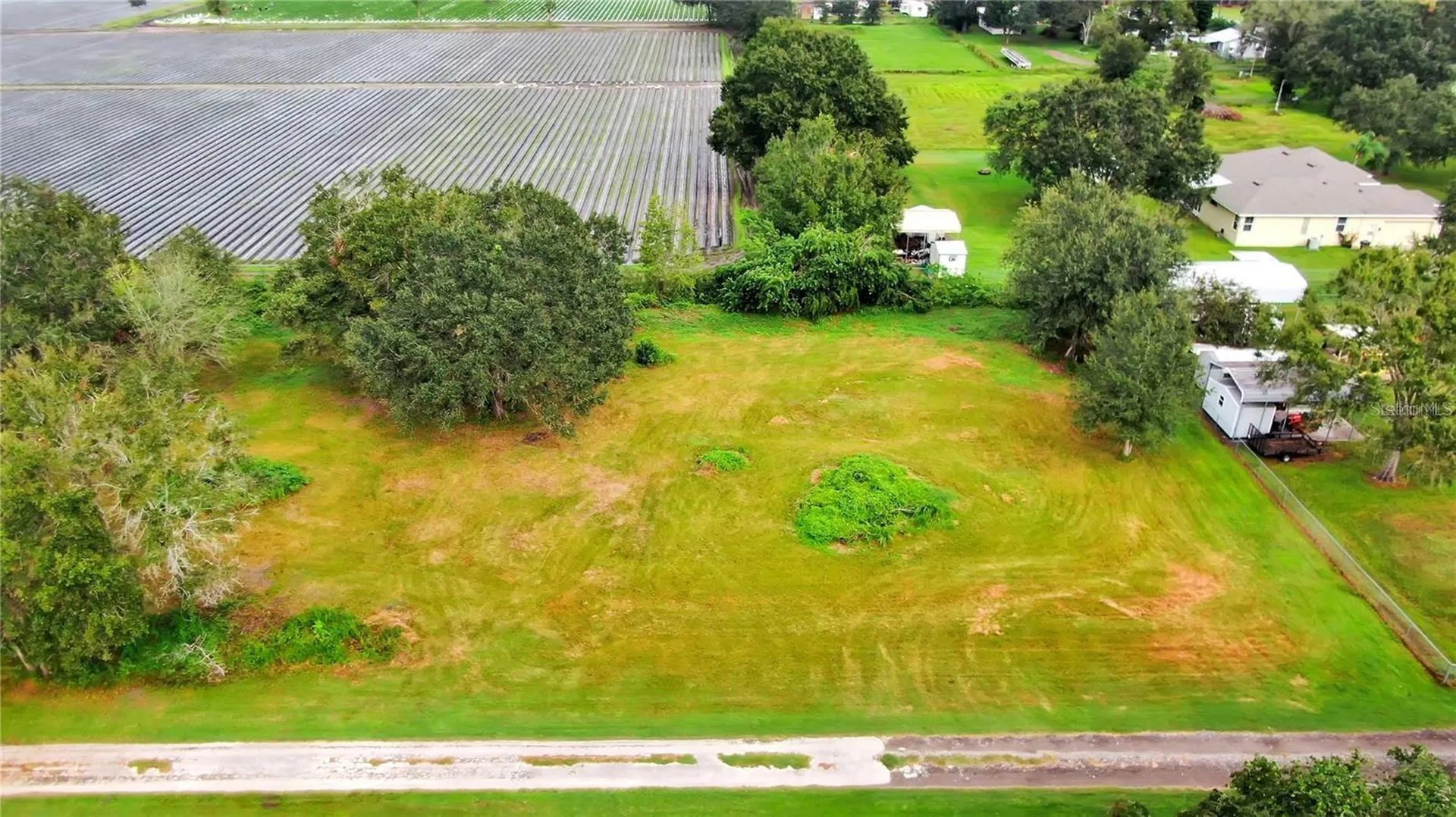13906 Sweet Blossom Court Dover FL 33527