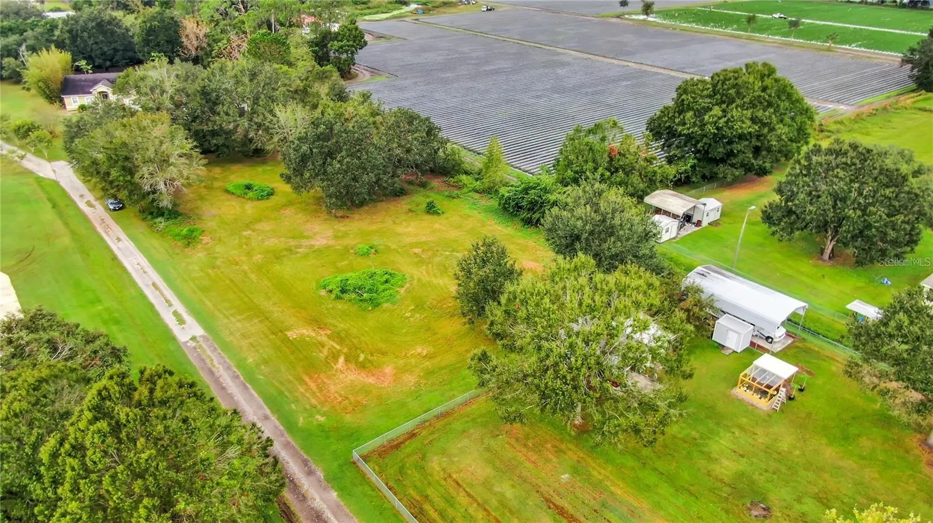 13906 Sweet Blossom Court Dover FL 33527