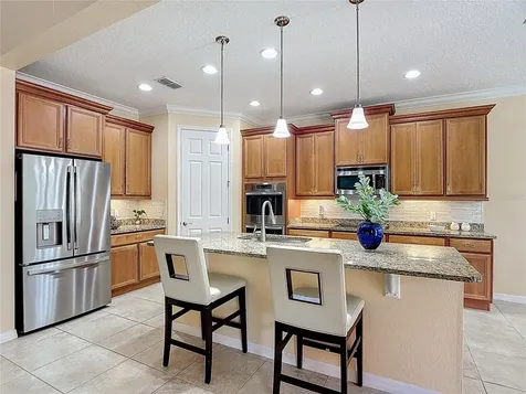 531 Via Vitale Court Kissimmee FL 34759