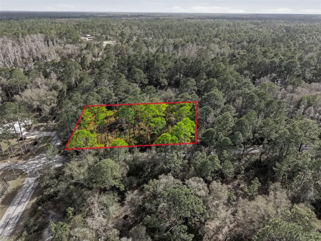 9694 N Cavewood Avenue Crystal River FL 34428