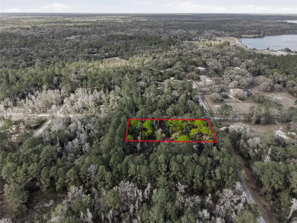 9694 N Cavewood Avenue Crystal River FL 34428
