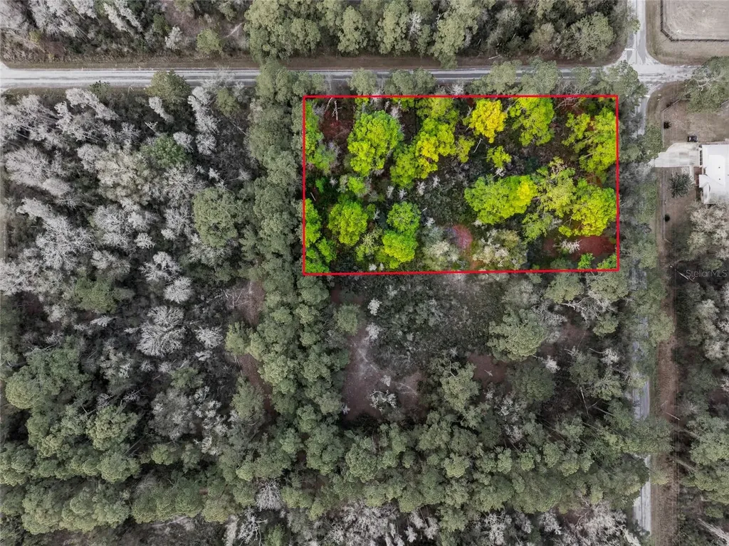 9694 N Cavewood Avenue Crystal River FL 34428