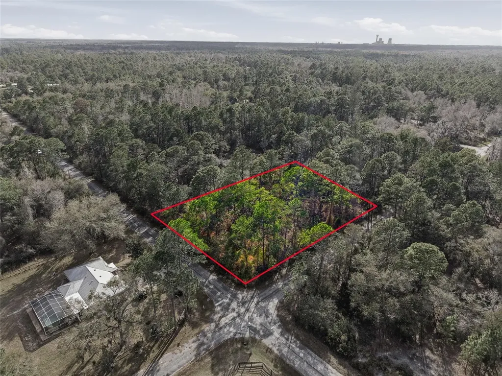 9694 N Cavewood Avenue Crystal River FL 34428