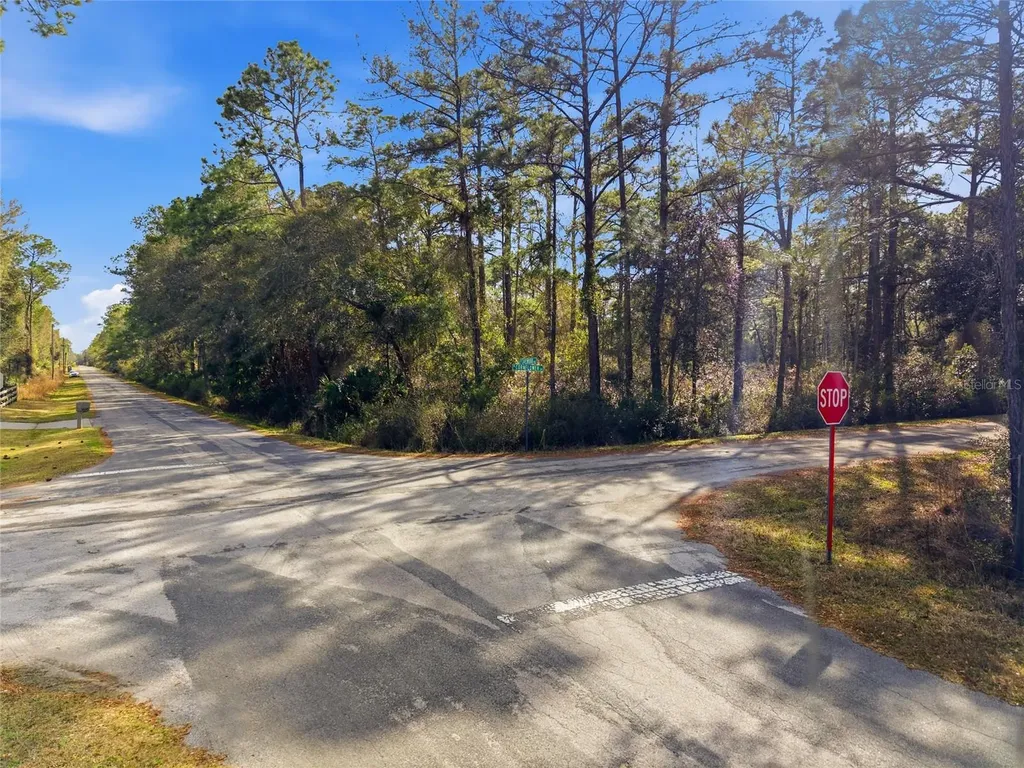 9694 N Cavewood Avenue Crystal River FL 34428