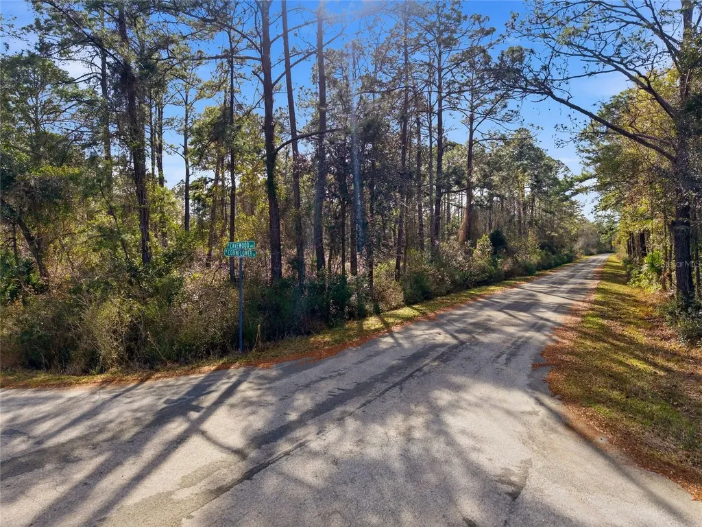 9694 N Cavewood Avenue Crystal River FL 34428
