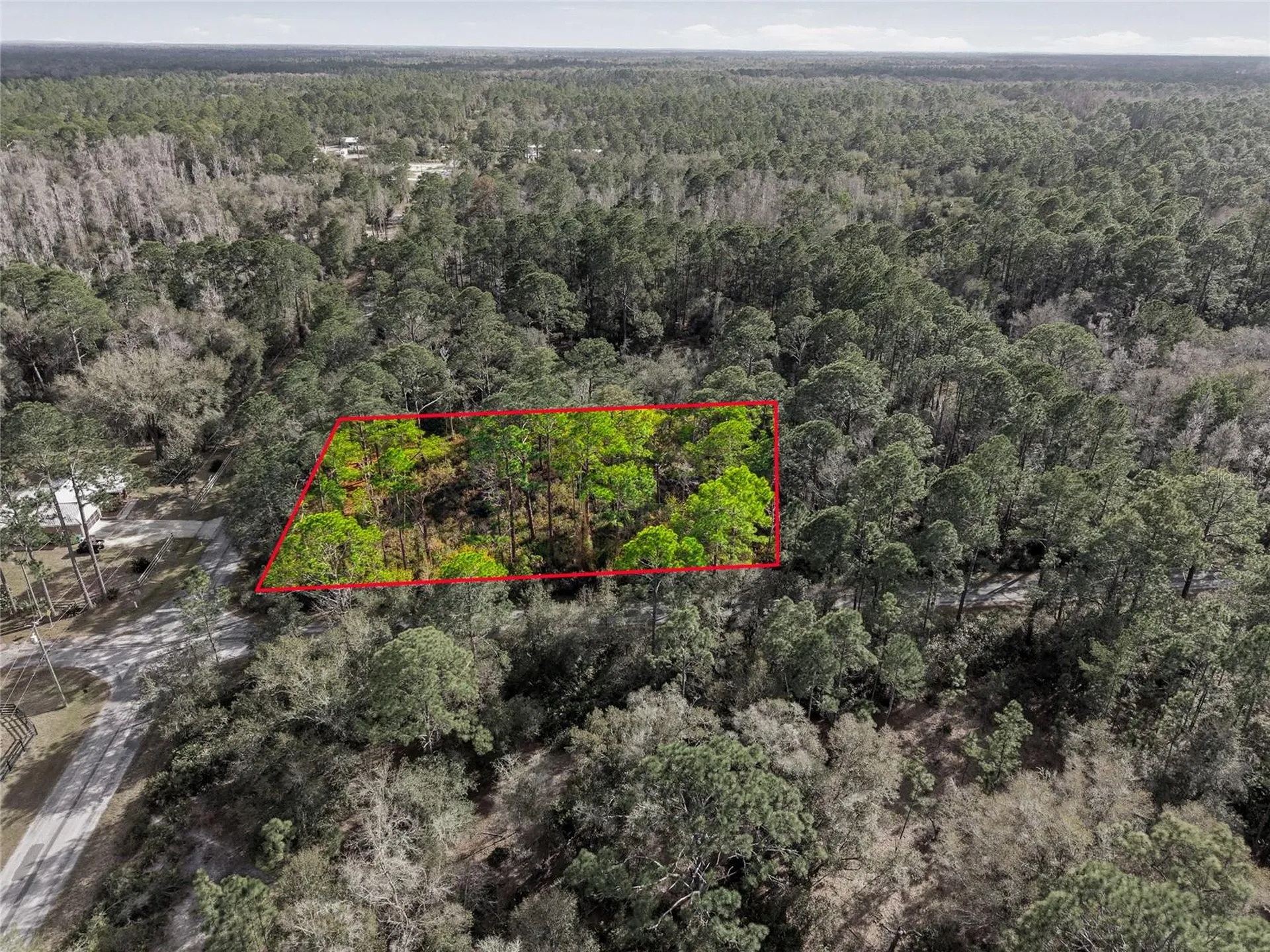 9694 N Cavewood Avenue Crystal River FL 34428