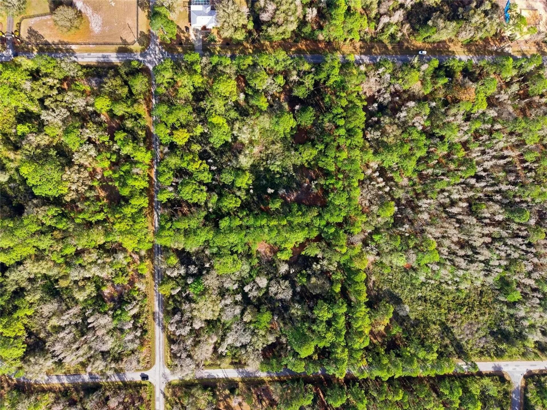 9694 N Cavewood Avenue Crystal River FL 34428