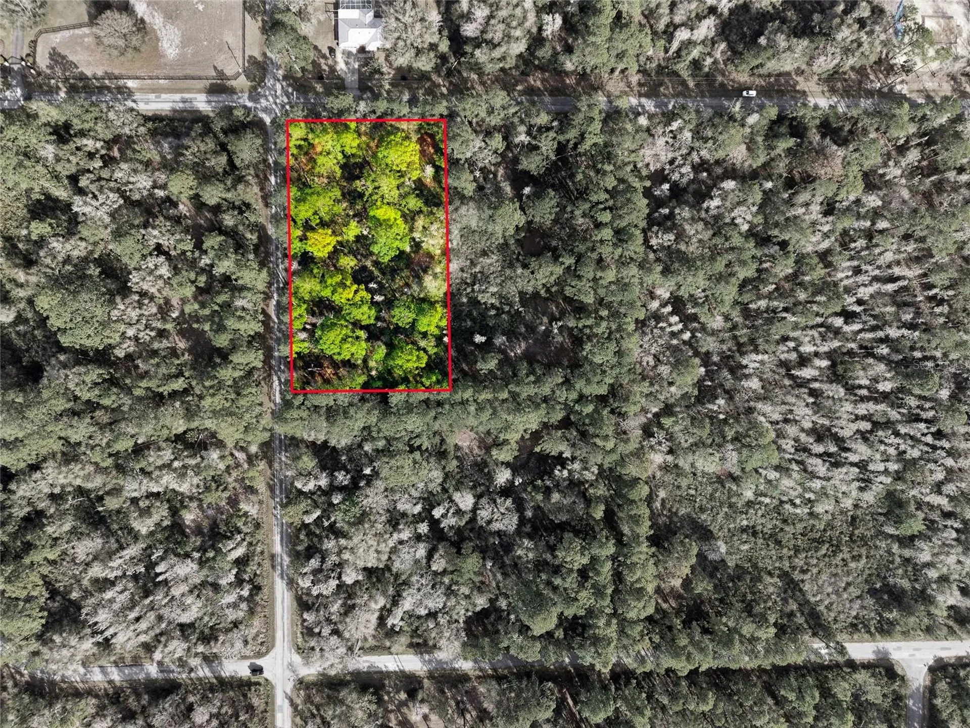 9694 N Cavewood Avenue Crystal River FL 34428