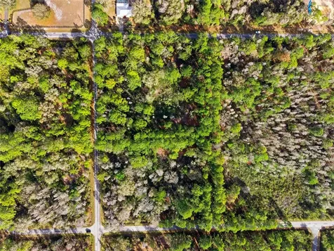 9694 N Cavewood Avenue Crystal River FL 34428