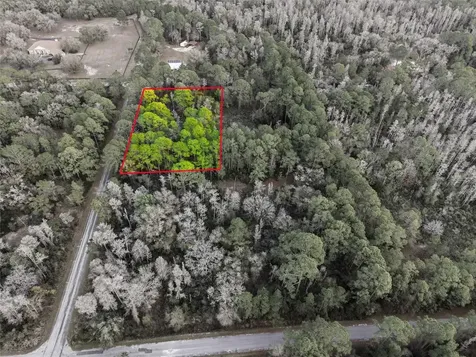 9694 N Cavewood Avenue Crystal River FL 34428