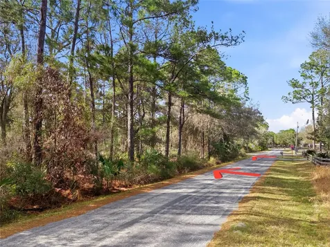 9694 N Cavewood Avenue Crystal River FL 34428
