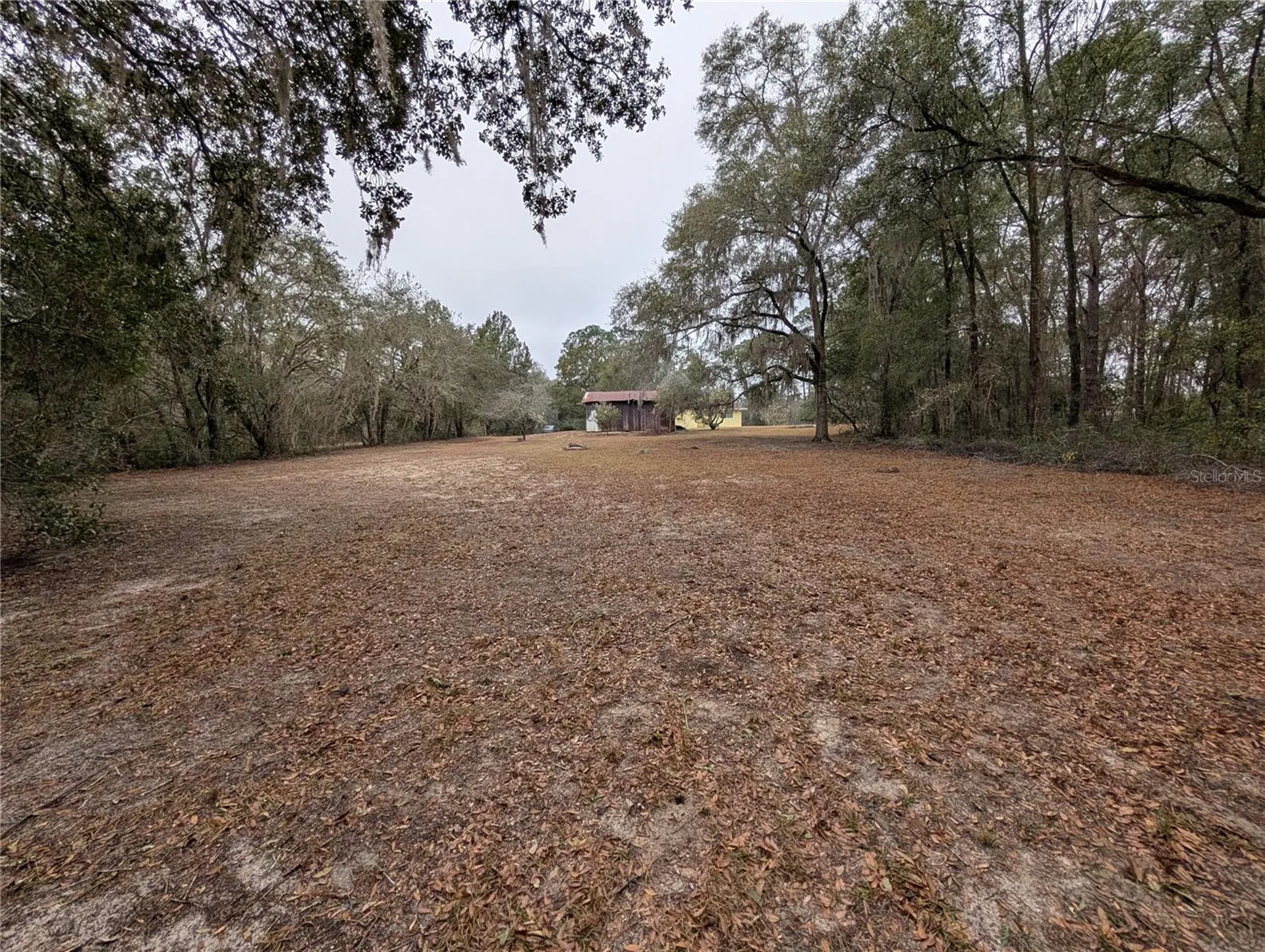 8481 S Great Oaks Drive Floral City FL 34436