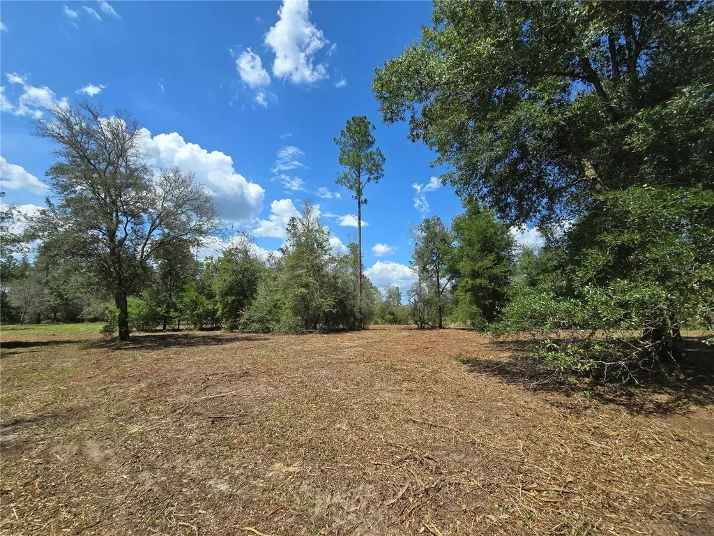 7112 N Lecanto Highway Highway Hernando FL 34442