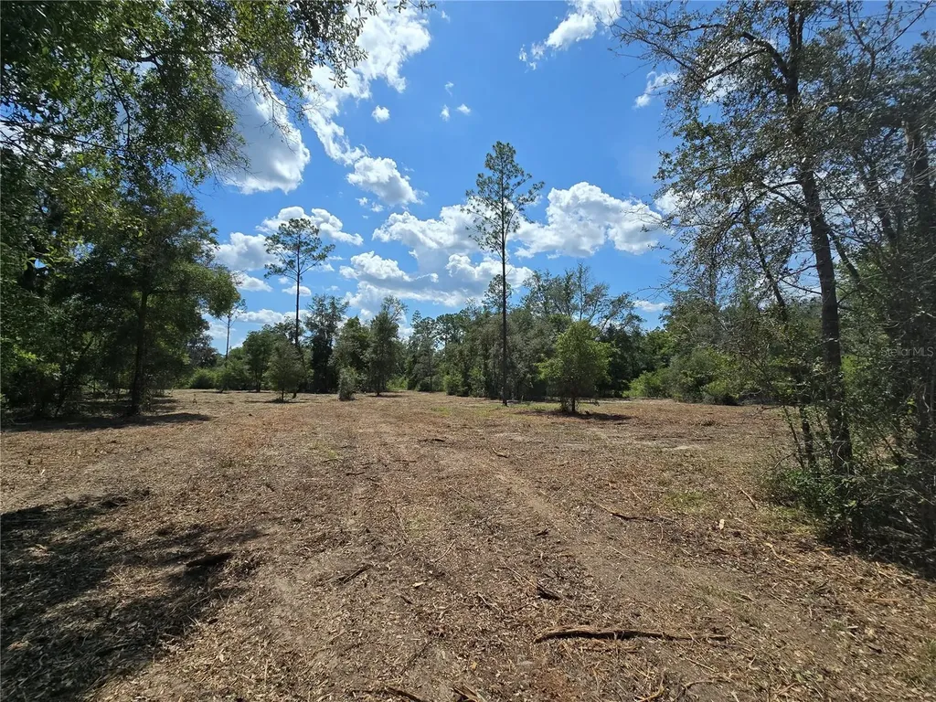 7112 N Lecanto Highway Highway Hernando FL 34442