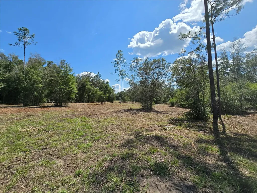 7112 N Lecanto Highway Highway Hernando FL 34442