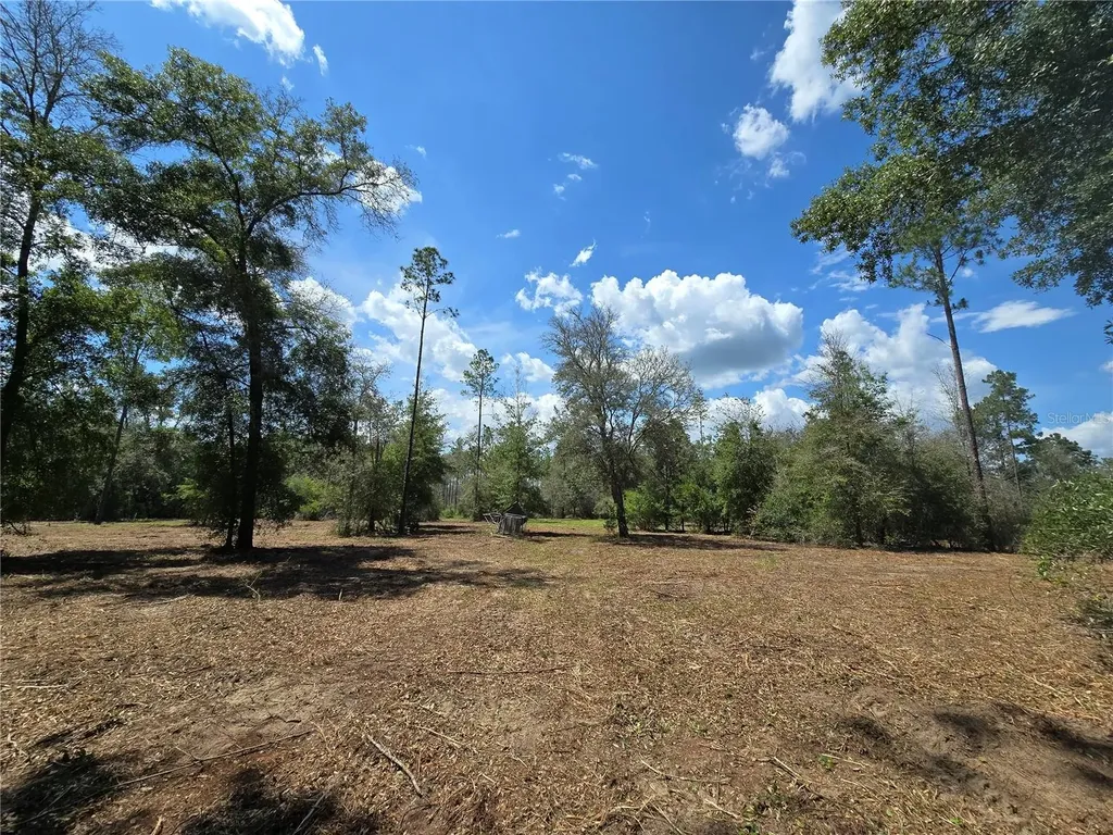 7112 N Lecanto Highway Highway Hernando FL 34442