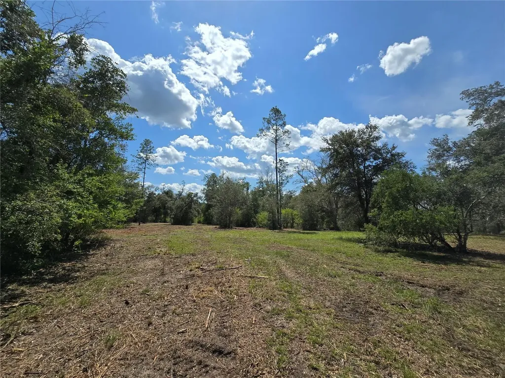 7112 N Lecanto Highway Highway Hernando FL 34442