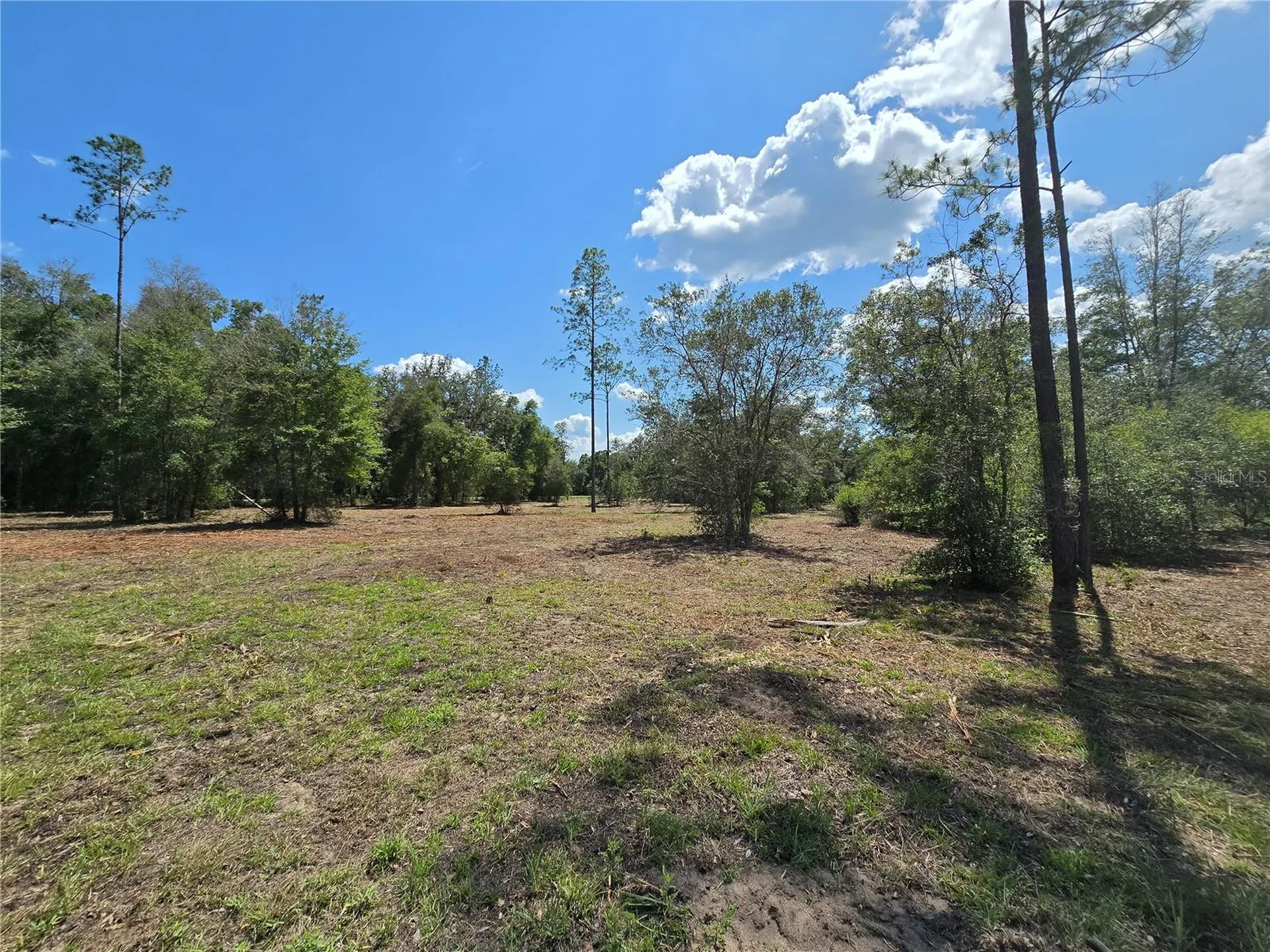7112 N Lecanto Highway Highway Hernando FL 34442