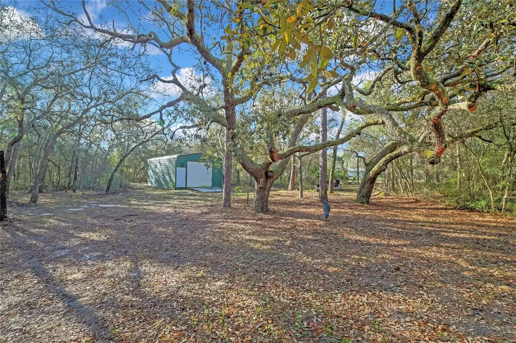 340 E Savoy Street Lecanto FL 34461